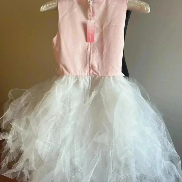 GIRLS BEATIFUL TULLE AND BEAD DRESS SIZE 8-9 NWT - Picture 7 of 9